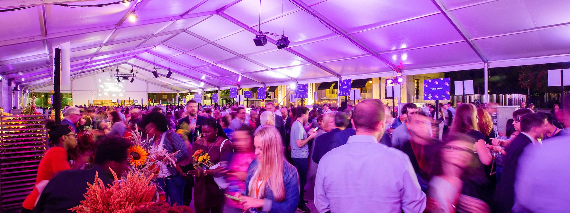 Crush Wine Experiences