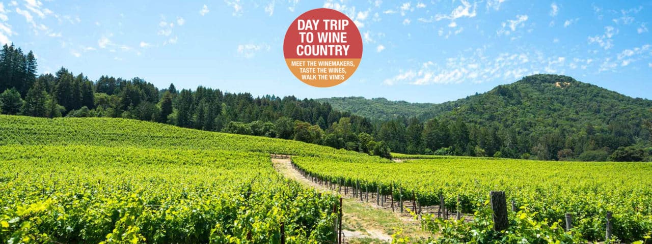 Crush Wine Experiences