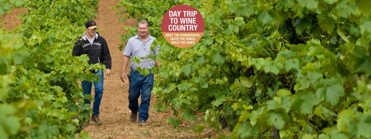 Crush Wine Experiences