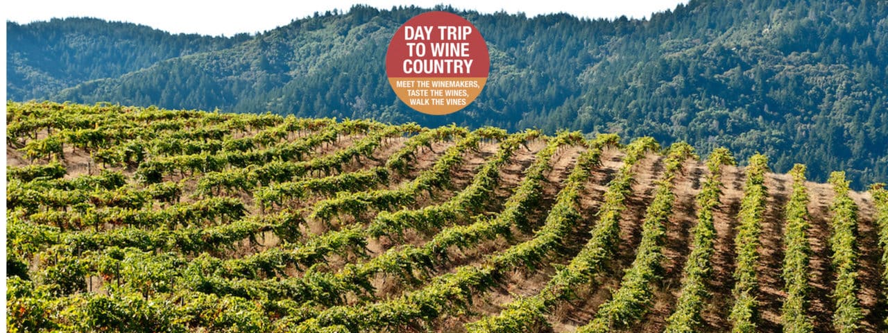 Crush Wine Experiences