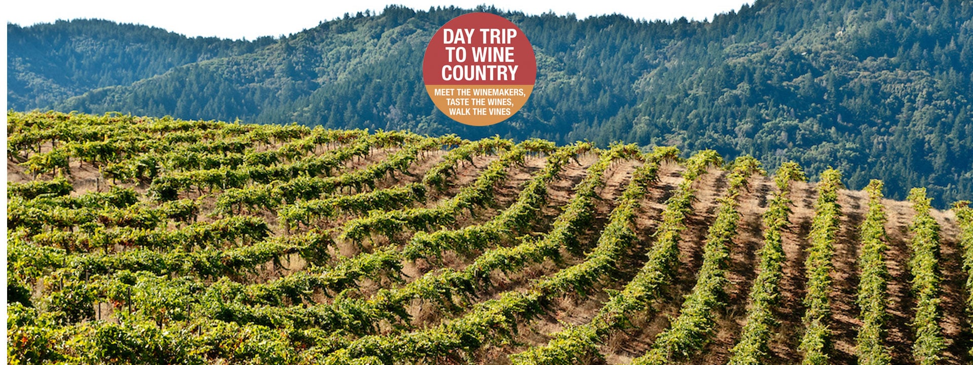 Crush Wine Experiences