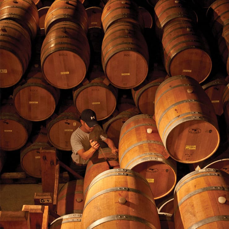 Crush Wine Experiences