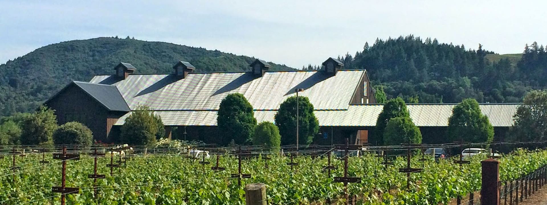Crush Wine Experiences