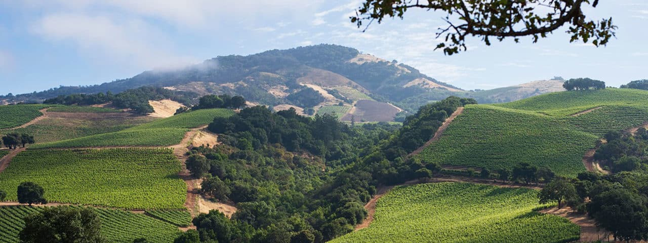 Crush Wine Experiences