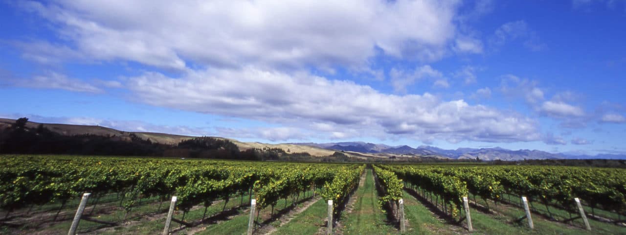 Crush Wine Experiences