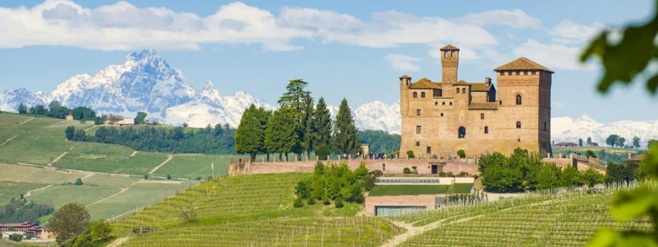 Crush Wine Experiences