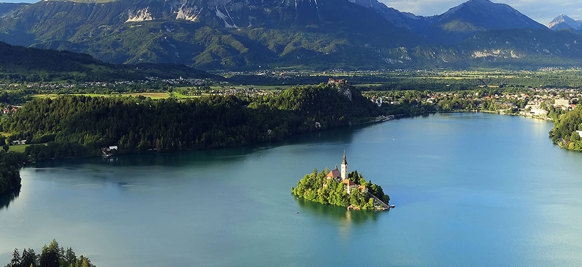 Avia Wines – The #1 wine from Slovenia