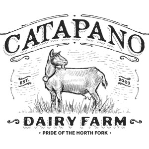 Sponsor image