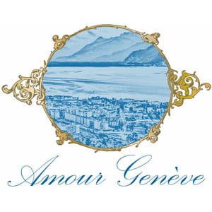 Sponsor image