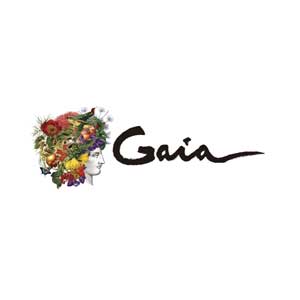 Sponsor image