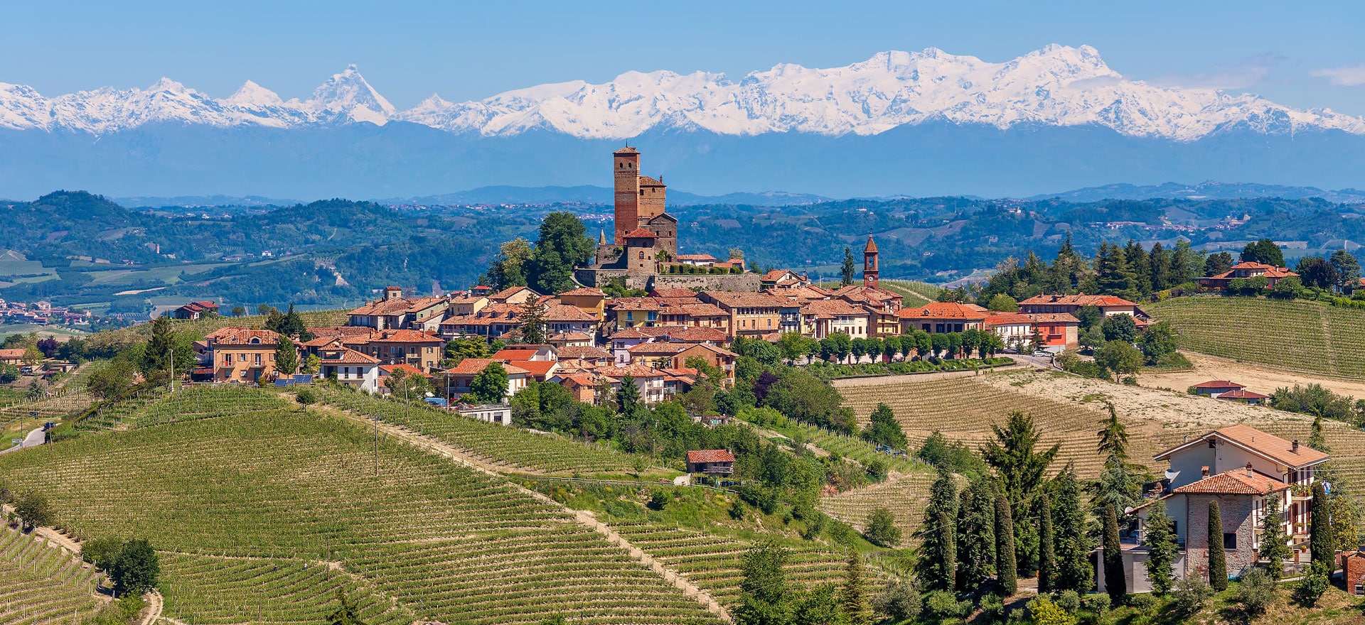 Barolo, Barbera & Nebbiolo Tasting